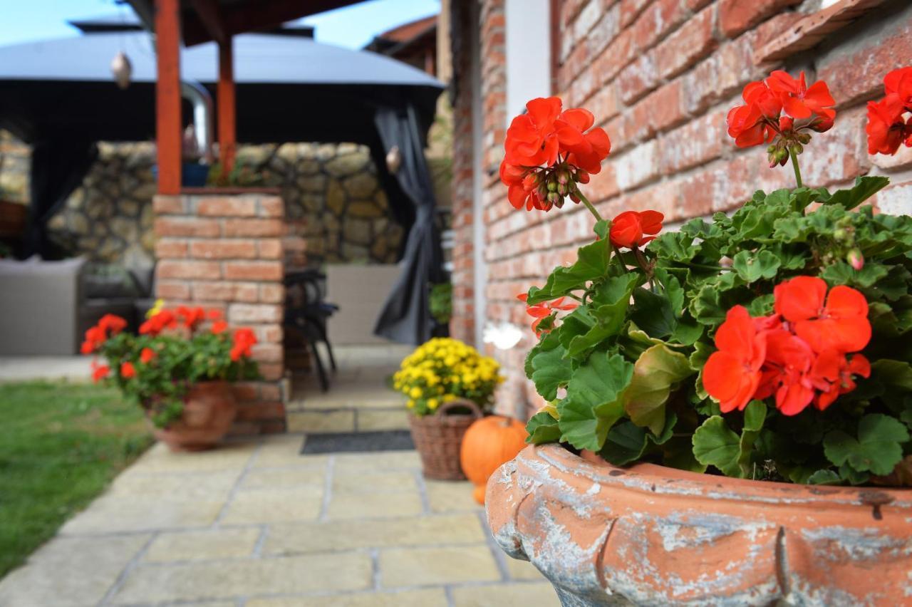 Janicsar Garden Апартаменты Эгер