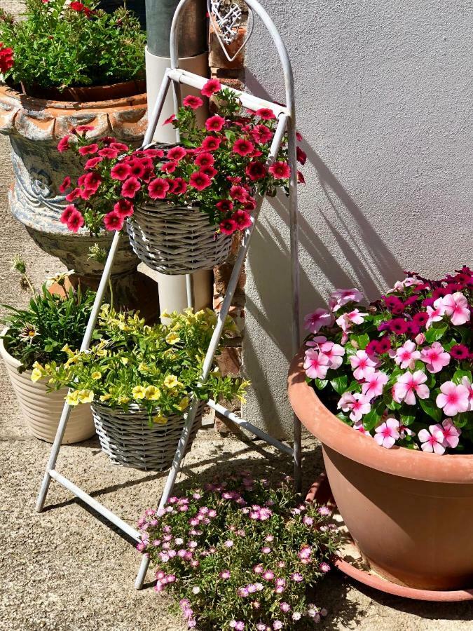 Apartman Janicsár Garden
