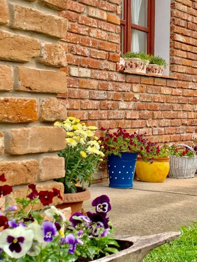 Апартаменты Janicsar Garden *